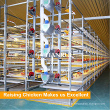 Fabricant Chine H Type Automatic Broiler Poultry Farm Cage Design